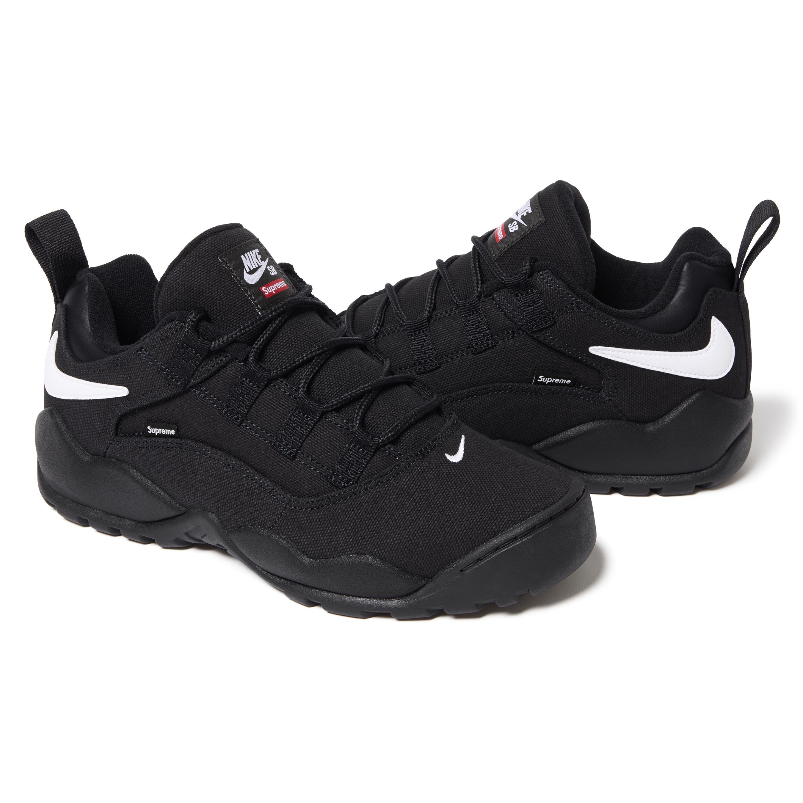 Supreme®/Nike SB Darwin Low view 13